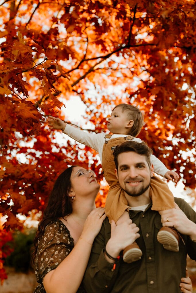 notre dame family photographer captures toddler playing with fall leaves